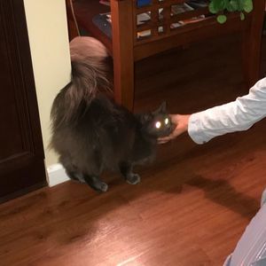 Meet your Posher, Andrea